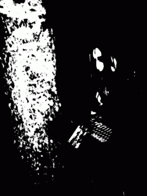 Journeys Through Astral Funerals and Suicide Forests